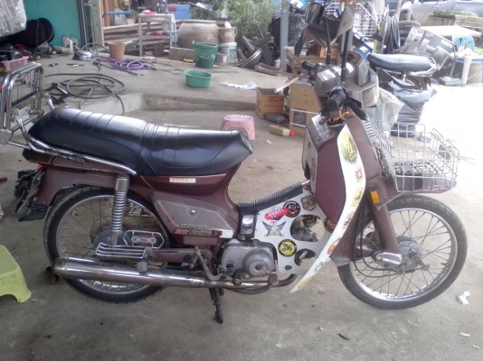 ขายคัสต้อมทะเบียนโอนแฝง13500บาท0897074784พิดโลก