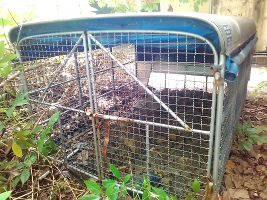 ขายหลังคาพร้อมลูกกรง เพิ่งถอดจากโตโยต้าไมตี้เอ๊กซ์(เอ๊กตร้าแค้ป) ขายหลังคาพร้อมลูกกรง เพิ่งถอดจากโตโยต้าไมตี้เอ๊กซ์(เอ๊กตร้าแค้ป)