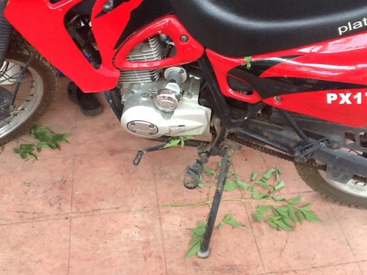 เพตติมั่ม175สภาพเดิม วิ่งน้อยสว18500 เพตติมั่ม175สภาพเดิม วิ่งน้อยสว18500