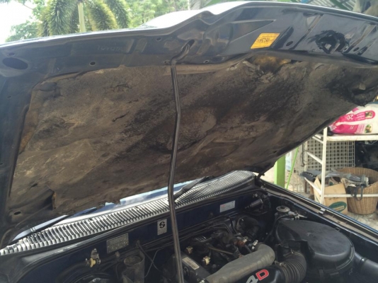 tiger Cab 2.5 D4D รถสวย บางเดิม เครืองดี tiger Cab 2.5 D4D รถสวย บางเดิม เครืองดี