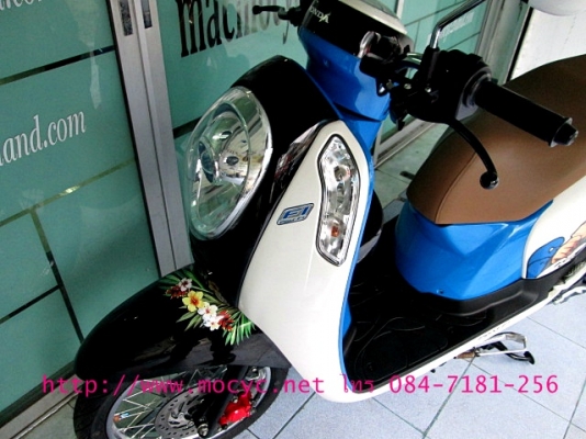 SCOOPY-i  สีน้ำเงินขาว ลายกอลิล่า  รถเดือน ก ค.ปี 2556 แต่งโช๊คหลังมาแล้ว ของแถม 3 รายการ 32900