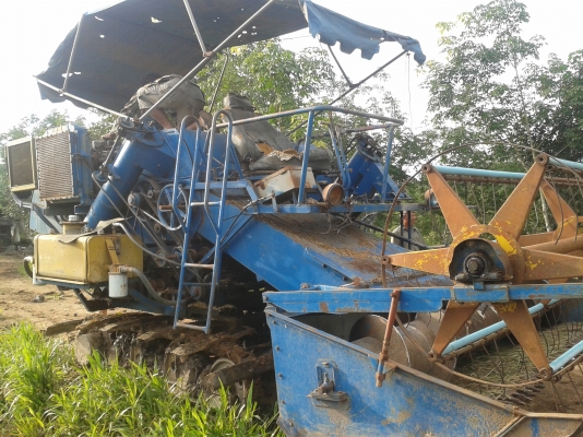 ขายเกษตรพัฒนากระสอบ