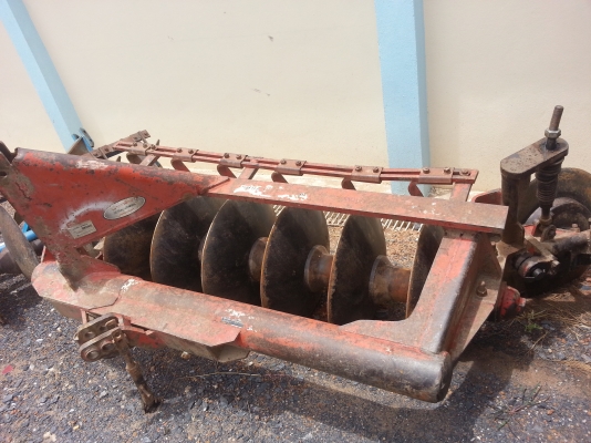 ผานตราช้าง 6x24  งามๆเดิม ๆ