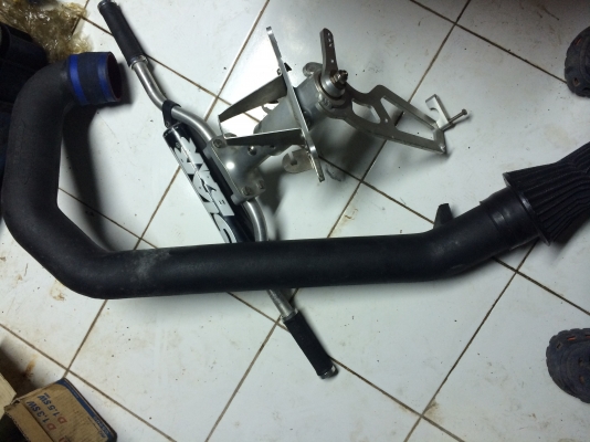 เเฮนumi กรองเปลือย riva