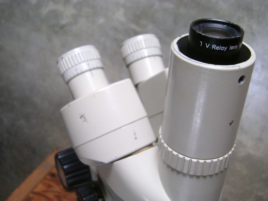 ขายกล้องจุลทรรศน์ Nikon ขายกล้องจุลทรรศน์ Nikon