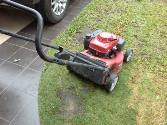 ขายรถตัดหญ้า HONDA 5.5