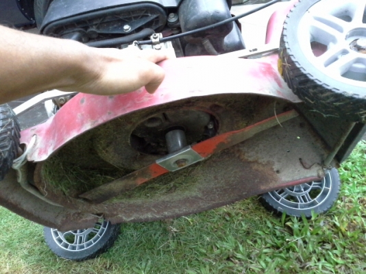 ขายรถตัดหญ้า HONDA 5.5