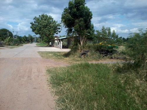 ขายที่ดิน 13ไร่ 2งาน มีวิวภูเขาติดหมู่บ้านติดทางสาธารณะ ราคา 370,000 ต่อไร่