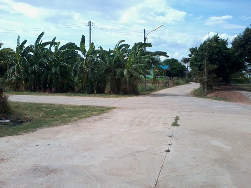 ขายที่ดิน 13ไร่ 2งาน มีวิวภูเขาติดหมู่บ้านติดทางสาธารณะ ราคา 370,000 ต่อไร่