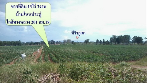 ขายที่ดิน 13ไร่ 2งาน มีวิวภูเขาติดหมู่บ้านติดทางสาธารณะ ราคา 370,000 ต่อไร่