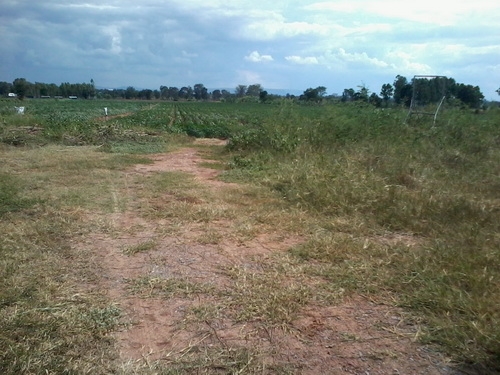 ขายที่ดิน 13ไร่ 2งาน มีวิวภูเขาติดหมู่บ้านติดทางสาธารณะ ราคา 370,000 ต่อไร่