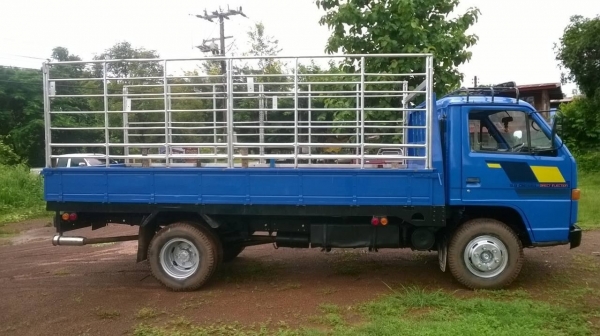 ขาย NPR 115 ห้างแท้ปี 34 เครื่อง 4BD1 115 แรงม้า 6 น็อตหน้าหลัง เกียร์สั้น คัสซีสวยตลอดเส้น ยางดี ทะเบียนเต็มพร้อมโอน