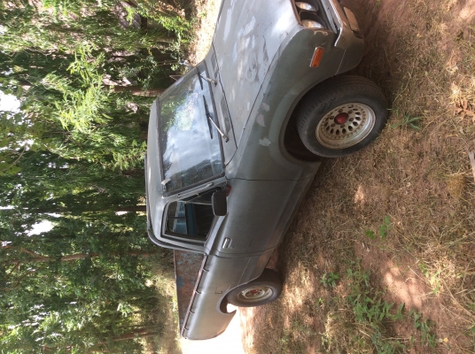 ขายดัสสันช้างเหยียบ แห้งๆ สี่ขอเกียร์คอ เครื่องดีมากๆ