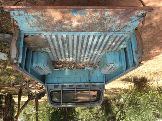 ขายดัสสันช้างเหยียบ แห้งๆ สี่ขอเกียร์คอ เครื่องดีมากๆ