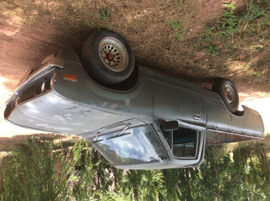 ขายดัสสันช้างเหยียบ แห้งๆ สี่ขอเกียร์คอ เครื่องดีมากๆ