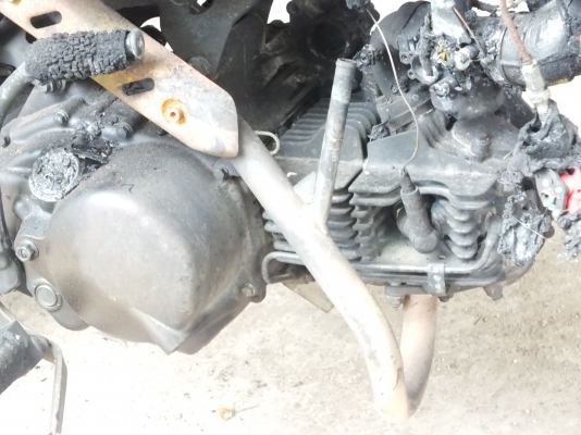 ขาย ksr ปี54 ทะเบียนโอน ghost riders ภาษี57 ขาย ksr ปี54 ทะเบียนโอน ghost riders ภาษี57