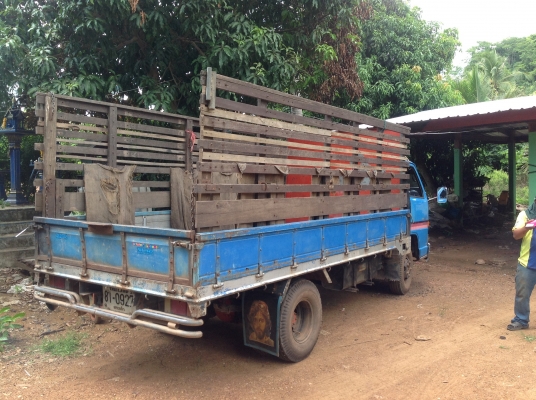 ขาย6ล้อTLDเครื่อง100วางNKR เข้าเล่มเรียบรัอย