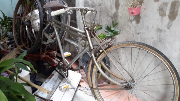 ขายรถสามล้อถีบ