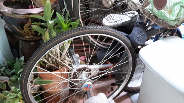 ขายรถสามล้อถีบ