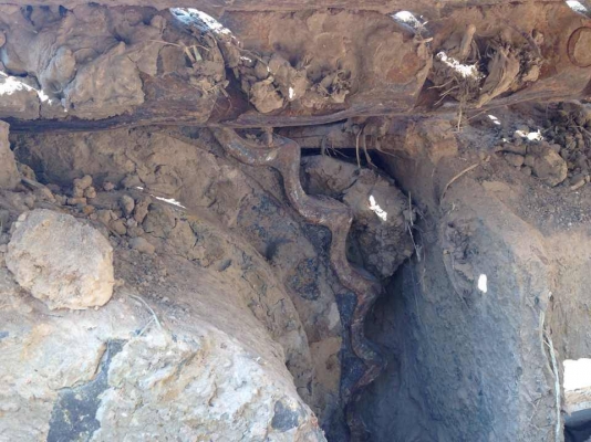 **800,000 บ.ต่อรอง**ขาย แบคโฮ HITACHI EX 200-3 เครื่องเดิมปั๊มเดิม ไฟฟ้าหน้าจอครบ แอร์เย็น บูมอาร์มไม่ปะไม่ดาม ช่วงล่างเต็มดี แน่น ทำงานไม่โหลด พร้อมใช้งาน สีสันดี สวย เอกสารเล่มทะเบียนครบ จัดแน็นท์ได้ ราคาต่อรองได้เด้อ พี่น้องครับ **800,000 บ.ต่อรอง**ขาย แบคโฮ HITACHI EX 200-3 เครื่องเดิมปั๊มเดิม ไฟฟ้าหน้าจอครบ แอร์เย็น บูมอาร์มไม่ปะไม่ดาม ช่วงล่างเต็มดี แน่น ทำงานไม่โหลด พร้อมใช้งาน สีสันดี สวย เอกสารเล่มทะเบียนครบ จัดแน็นท์ได้ ราคาต่อรองได้เด้อ พี่น้องครับ