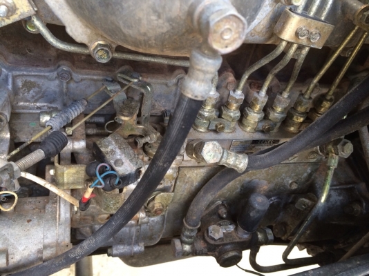 ขายหลงโบสวยๆเดิมๆบางๆดั้มสามมิตร