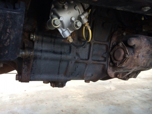 ขายหลงโบสวยๆเดิมๆบางๆดั้มสามมิตร