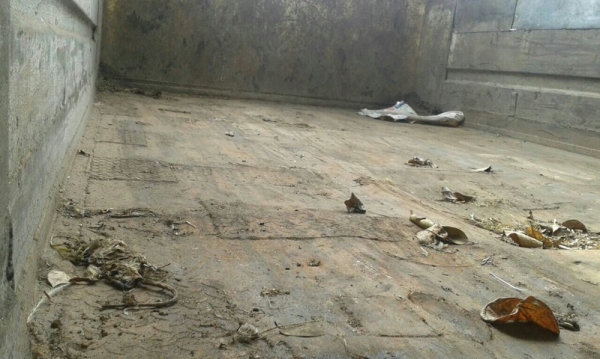 รถอีซูซุ 6 ล้อดั้ม FTR 165 แรงม้า. ปี 36 สนใจติดต่อ 081 - 6079515 รถอีซูซุ 6 ล้อดั้ม FTR 165 แรงม้า. ปี 36 สนใจติดต่อ 081 - 6079515