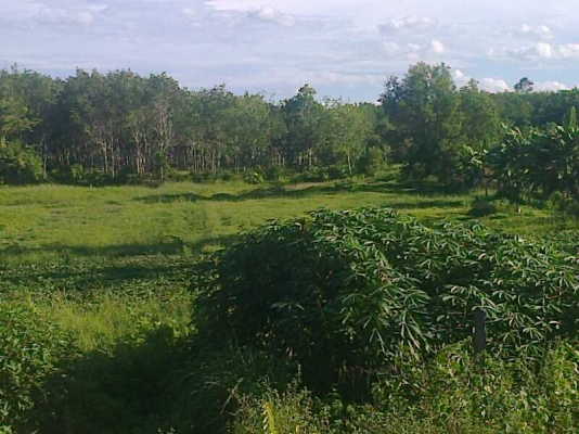 ขายกิจการห้องแถวพร้อมที่ดิน ด่วน 6500000  0908326698  0873305584