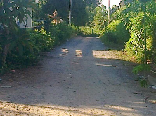 ขายกิจการห้องแถวพร้อมที่ดิน ด่วน 6500000  0908326698  0873305584