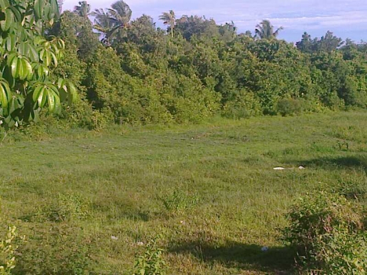 ขายกิจการห้องแถวพร้อมที่ดิน ด่วน 6500000  0908326698  0873305584