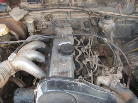 มิตชู  ราคา 60,000  บาท