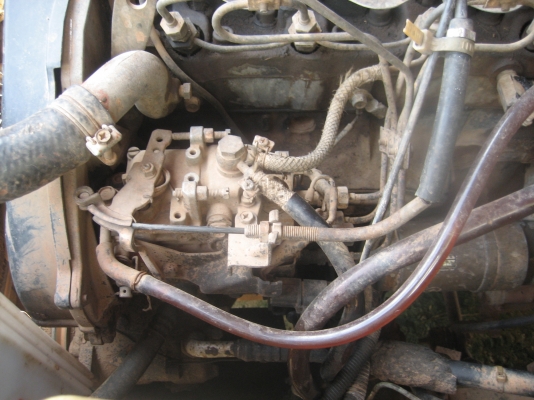 มิตชู  ราคา 60,000  บาท