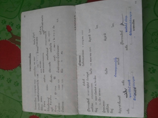 ขาย Honda Accord (งูเห่า)  ปี 2544 2254 cc 4 สูบ