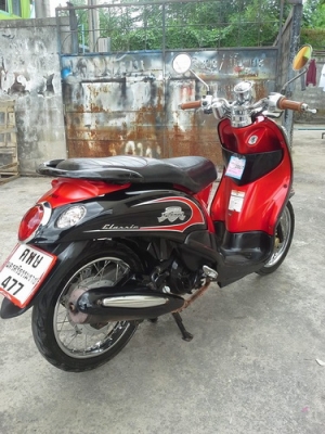 Fino ลายคลาสสิค สีดำแดง สวยๆเดิมๆ ราคาถูกครับ