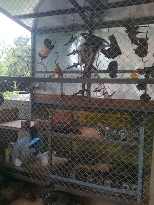 ขายอะไหล่รถบรรทุก อุปกรณ์ประกอบอีแต๋น (เก่าญี่ปุ่น)