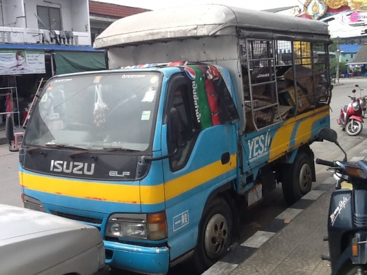 ขาย isuzu เครือง3.1ดีเซล นำเข้าทั้งคันเสียภาษีถูกต้อง ทะเบียนพร้อมโอน ขาย isuzu เครือง3.1ดีเซล นำเข้าทั้งคันเสียภาษีถูกต้อง ทะเบียนพร้อมโอน