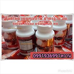 นกเขาไม่ขัน ล้มปากอ่าว