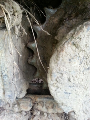 รถแบคโฮ HITACHl EX 200 - 2 สนใจติดต่อ 081 - 6079515 รถแบคโฮ HITACHl EX 200 - 2 สนใจติดต่อ 081 - 6079515