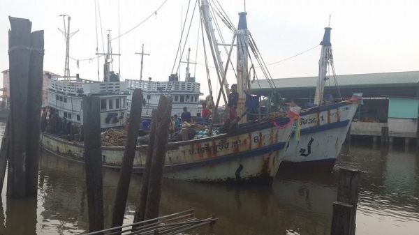 เรือปะมงรากคู่ เรือปะมงรากคู่