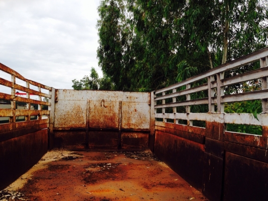 ขายกะบะดั้มพ์ 10 ล้อ