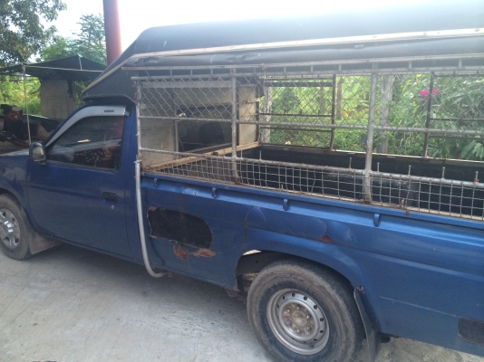 ขายรถนิสสันบิ๊กเอ็มเครื่อง TD27