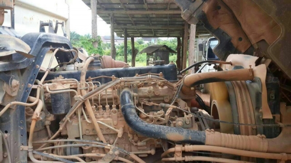 รถอีซูซุ 10  ล้อดั้ม  270 แรงม้า. ปี 49 - 50  ( มีขาย 2 คัน. )   สนใจติดต่อ 081 - 6079515