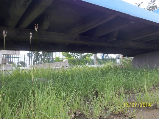 ขาย 37000 บาทกระบะพื้นเรียบ ถอดจาก10ล้อฮีโน่