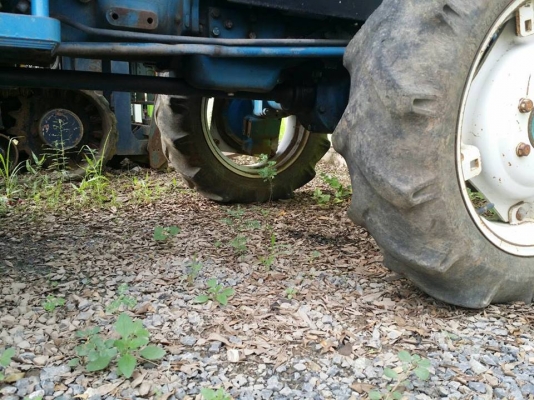 ขายรถไถ FORD