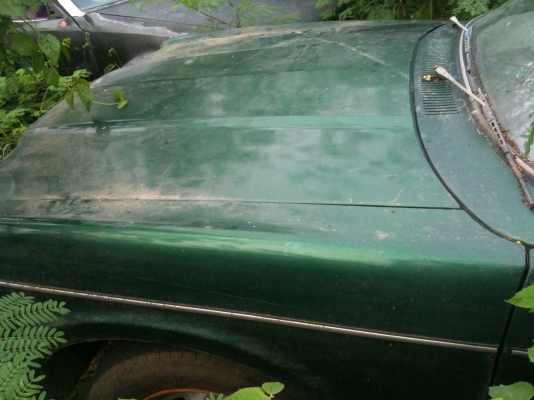 Ford Cortina สีเขียว 4 ประตู เครื่องเดิมจอดนานไม่ติด ภายในเดิมไม่ขา ขายตามสภาพ ทะเบียนขาดปี 51 Ford Cortina สีเขียว 4 ประตู เครื่องเดิมจอดนานไม่ติด ภายในเดิมไม่ขา ขายตามสภาพ ทะเบียนขาดปี 51