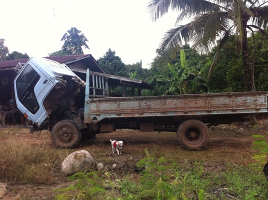 ISUZU NPR59LU5 เกียร์สั้นหัวยกได้ ซื้อขายปิดแนนท์ โดยเสี่ยปรีชา กทม ครับ ขอบคุณที่ให้การอุดหนุน