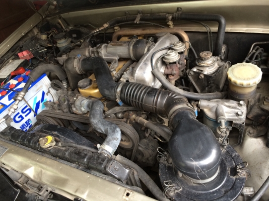 ขาย dragon eye slxสีทอง 2.8 ปี 97 ครับผม ขาย dragon eye slxสีทอง 2.8 ปี 97 ครับผม