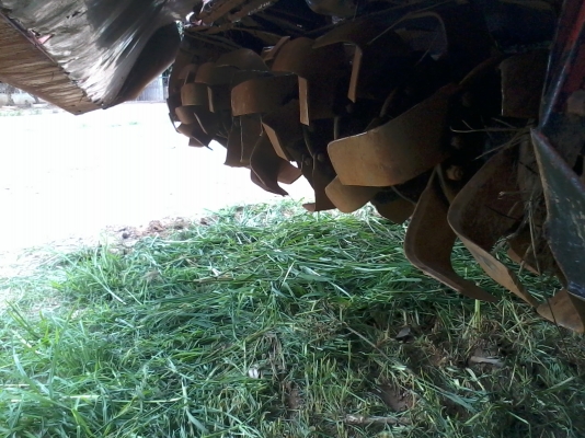 ขายโลตาลี้ตีดิน