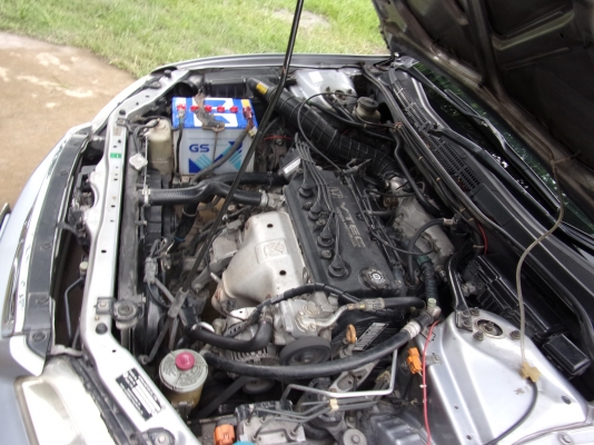 ขายด่วน H0NDA ACCORD งูเห่าปี 2001