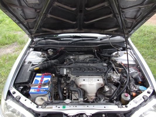 ขายด่วน H0NDA ACCORD งูเห่าปี 2001